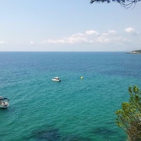 Апартаменты Puravida III Ла-Амеллья-де-Мар Экстерьер фото